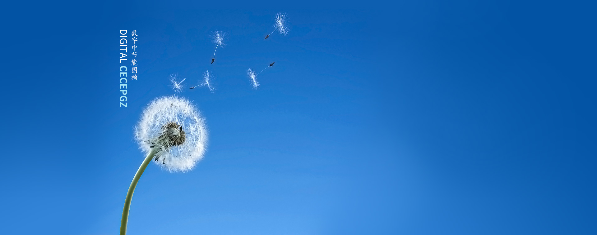 环球国际国祯环保科技股份有限公司